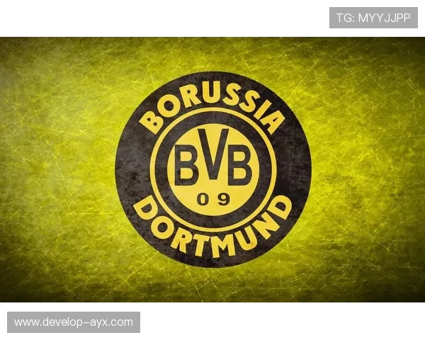 海登海姆俱乐部宣布新赛季战略规划 目标争取德甲中游成绩