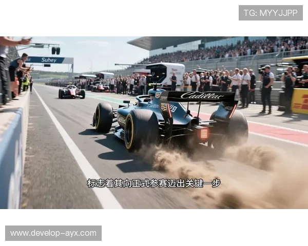 F1赛季最新动态揭晓各车队策略与车手表现分析