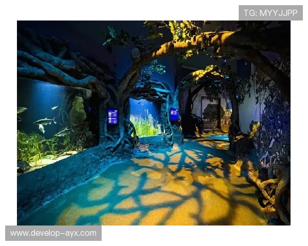 亚特兰大俱乐部最新发展动态与周边文化活动深度解析